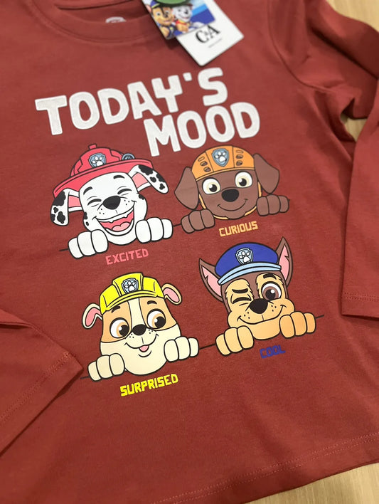 POLERA MANGA LARGA PAW PATROL